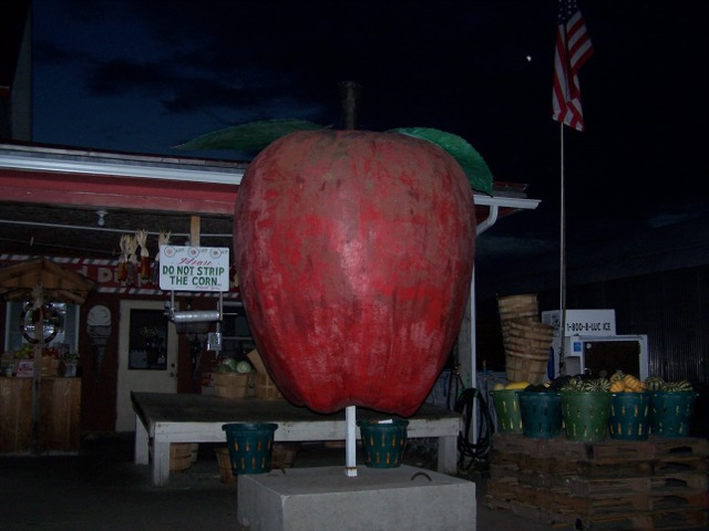 100_1835.jpg