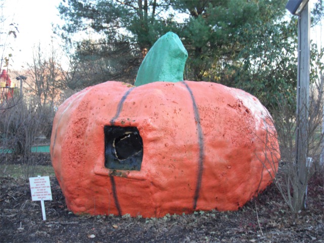 dscf0053.jpg
