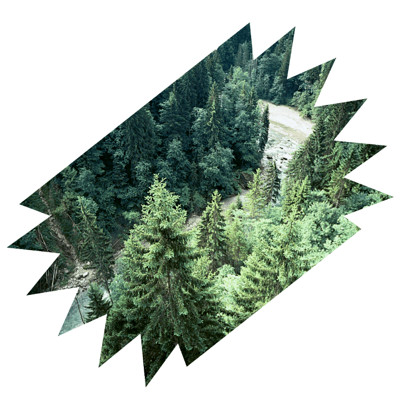 gb45088_03.gif