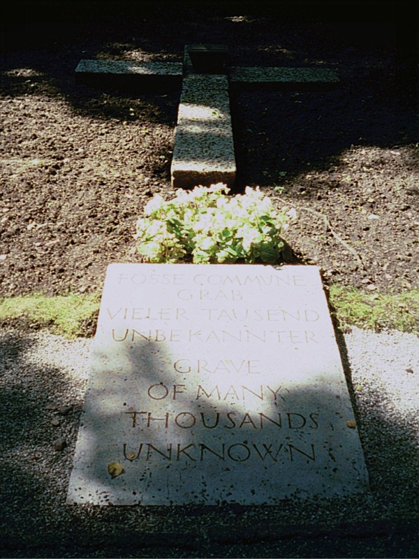 gd19333_03.jpg