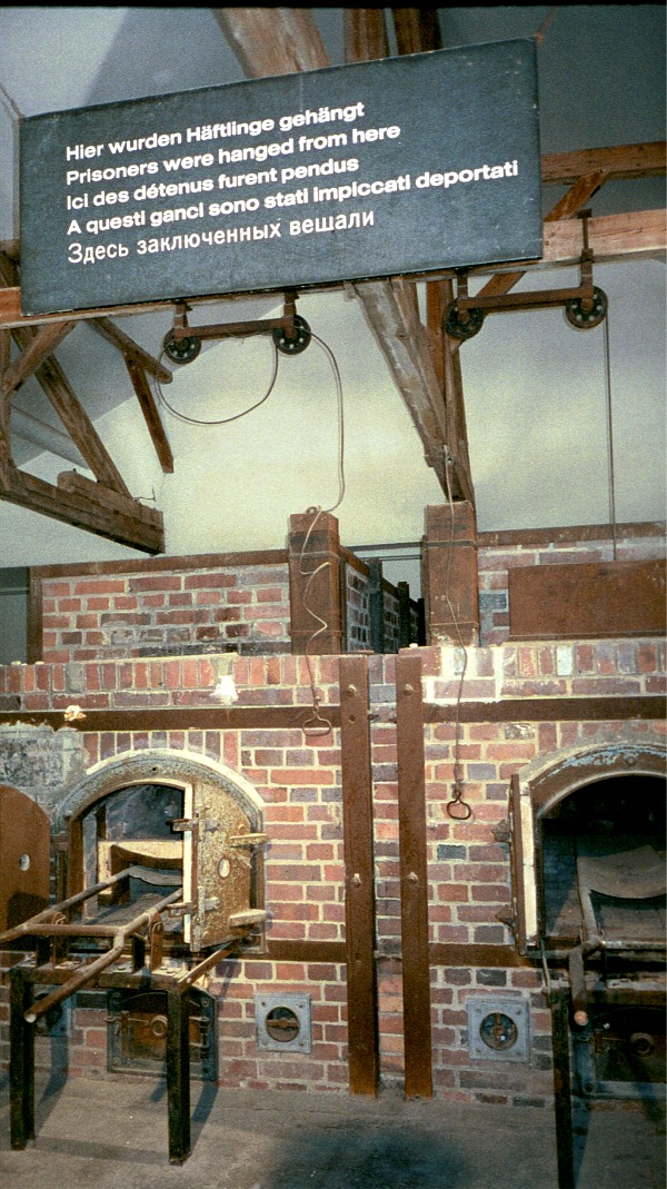 gd19334_22.jpg