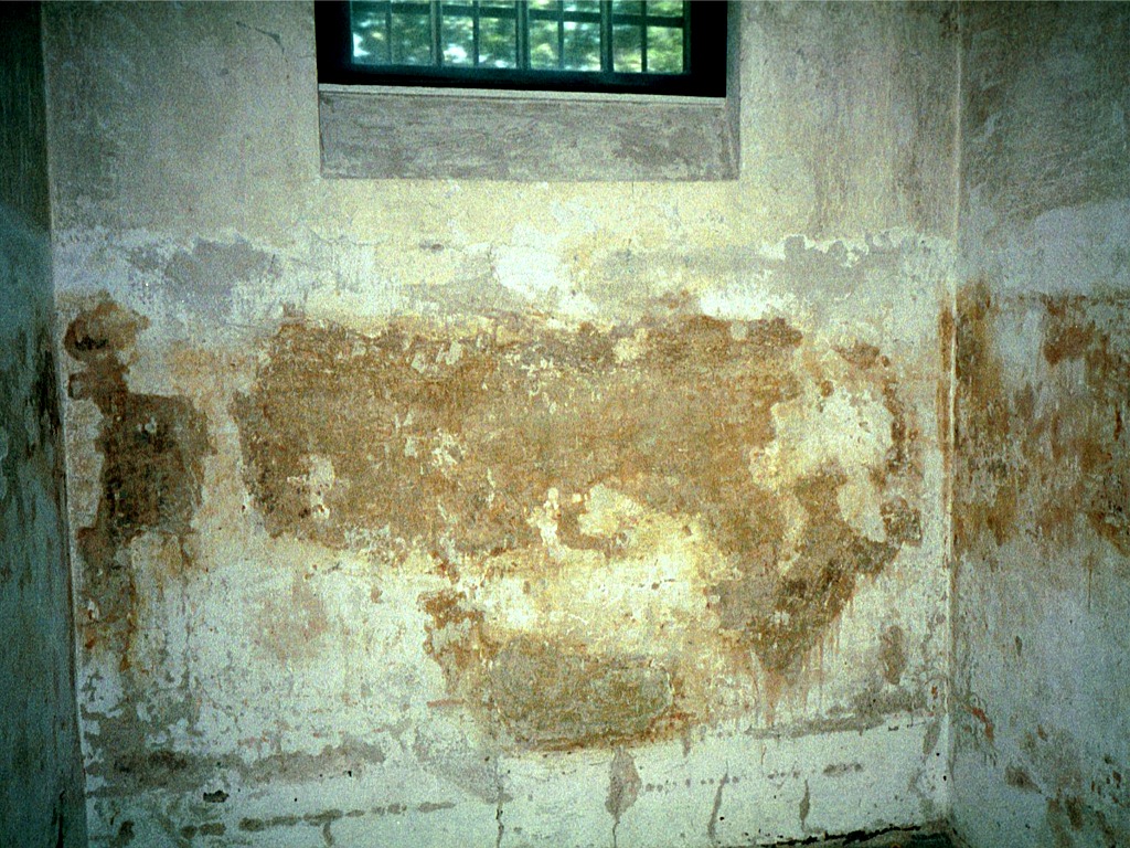 gd19335_19.jpg